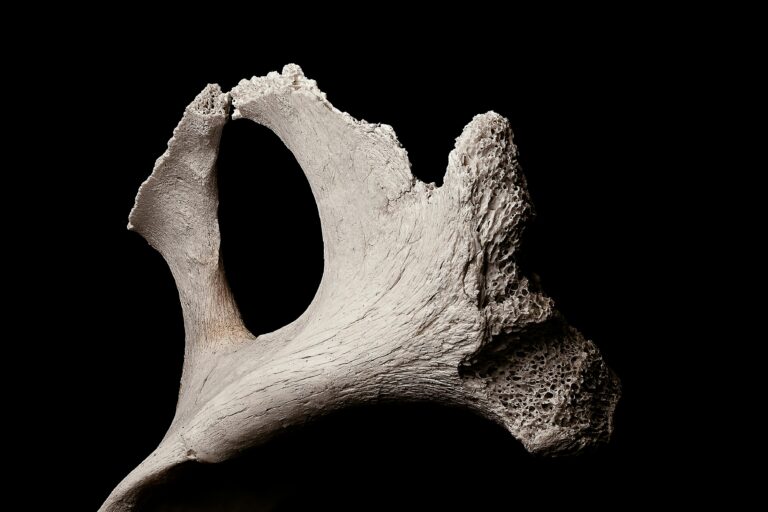 idea of Unveiling Time: The Science and Story of Radioactive Carbon Dating